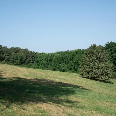Chateau De L Etang 30 Hectares *